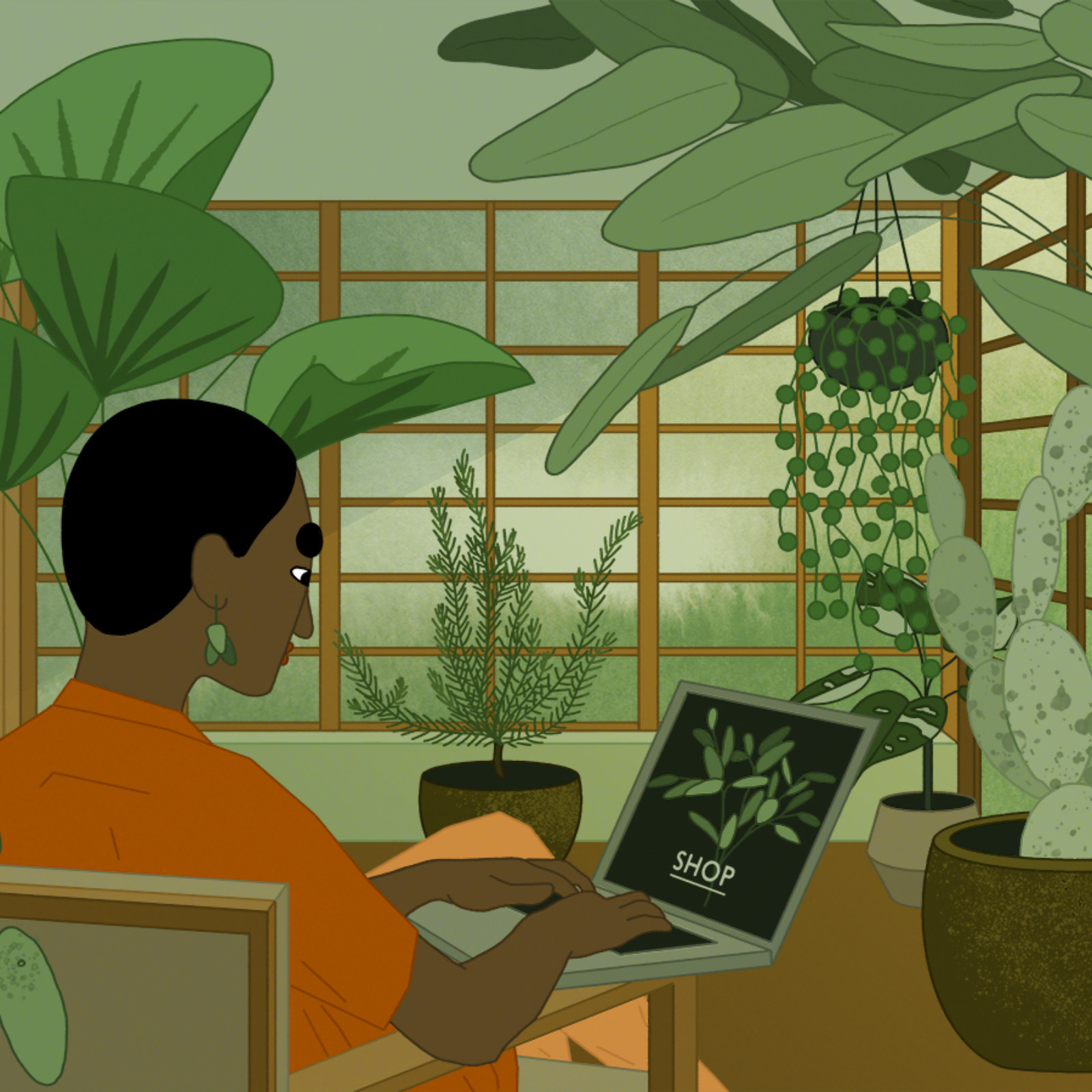 <?php echo pulse_output(); ?>