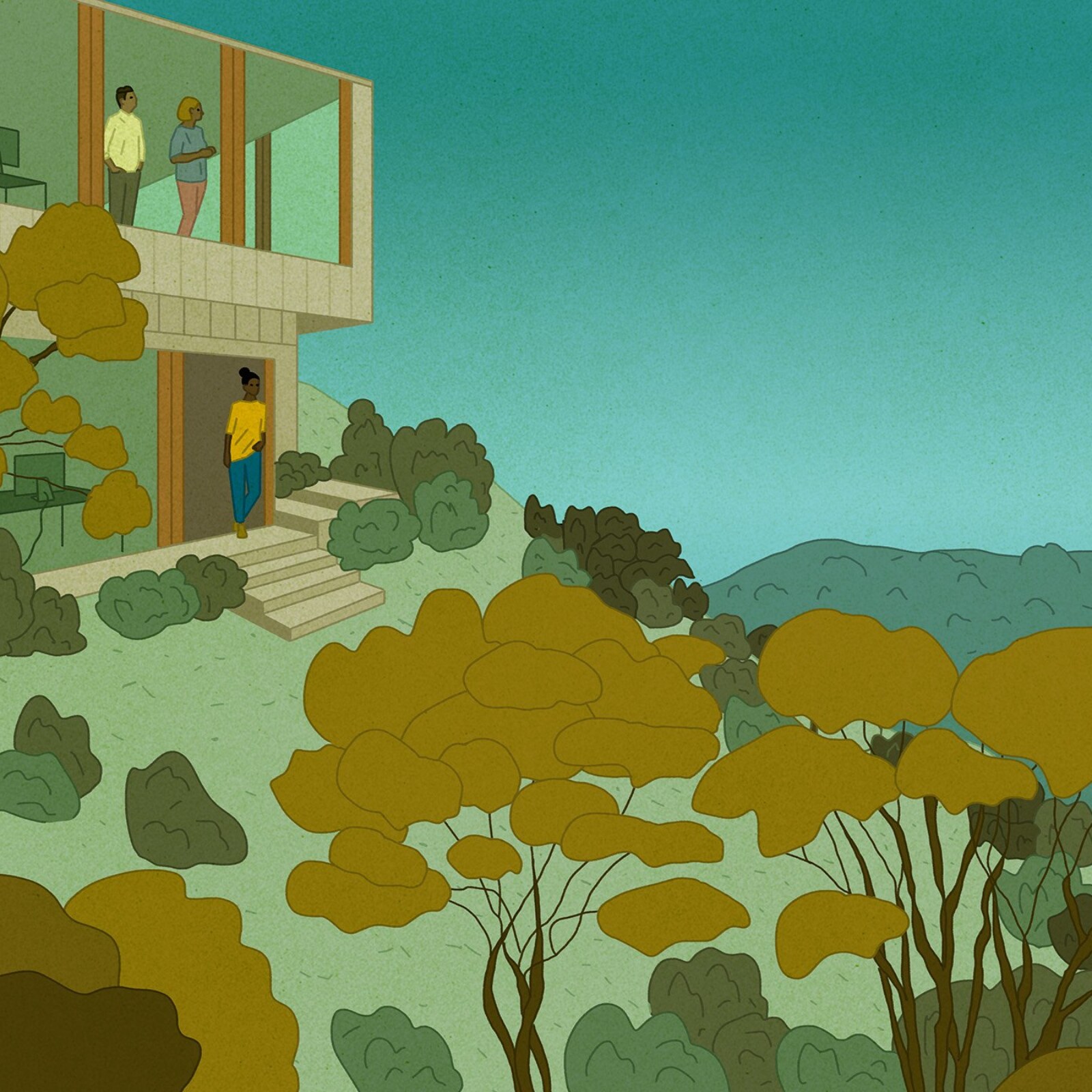 <?php echo pulse_output(); ?>